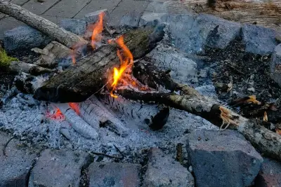 Northwoods comes to life with sounds of spring during evening by campfire