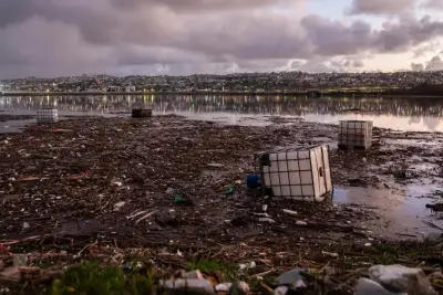 Mathews: The Tijuana overflows with sewage. Name it River Trump.